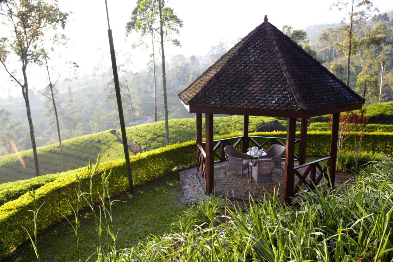 Ceylon Tea Trails - Relais And Chateaux Hatton Exteriér fotografie