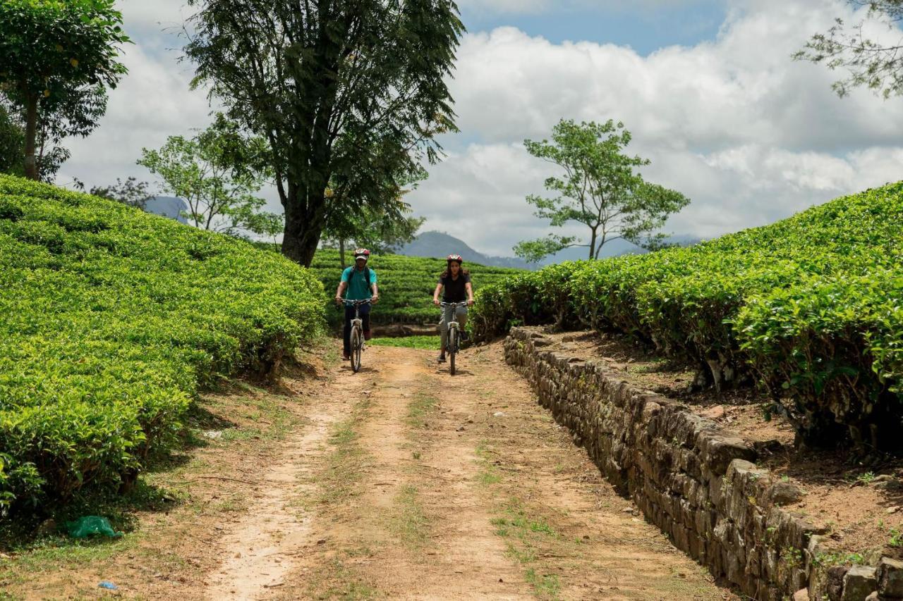 Ceylon Tea Trails - Relais And Chateaux Hatton Exteriér fotografie